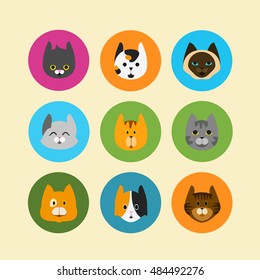 cute cat different colorful vector set icons