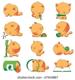 cute cat different positions