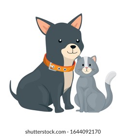 cute cat and dog animals isolated icon vector illustration design