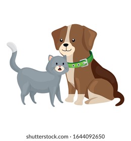 lindos animales de gato y perro aislados icono ilustración vectorial diseño