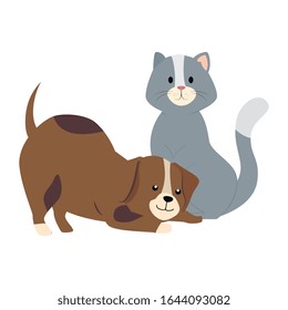 cute cat and dog animals isolated icon vector illustration design