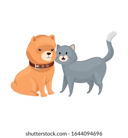 cute cat and dog animals isolated icon vector illustration design