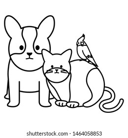 cute cat and dog with bird mascots adorables characters