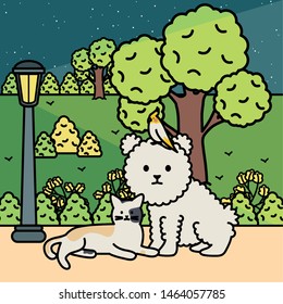 cute cat and dog with bird in the park