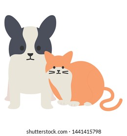 cute cat and dog mascots adorables characters