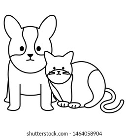cute cat and dog mascots adorables characters