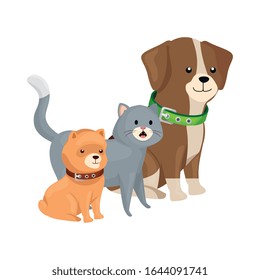 süße Katzen- und Hundetiere einzeln auf Symbolen Vektorillustration - Design