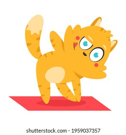 Cute cat doing fitness exercise vector cartoon character isolated on a white background.