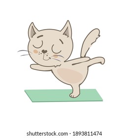 Cute cat doing yoga on the mat