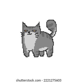 Cute Cat Domestic Pet Pixel Art - Fat Cat Pixel, isolated vector illustration