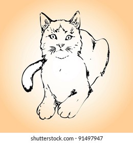 cute cat drawing