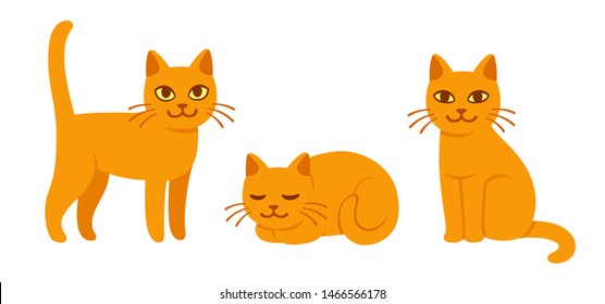 Cute cat drawing set in different poses. Sitting, standing and sleeping. Ginger kitty in simple cartoon style, isolated vector illustration.