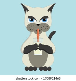 Cute Cat Drink Milk Vector