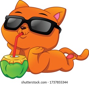 Cute cat drinks coconut water
