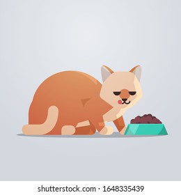 cute cat eating food from bowl fluffy adorable cartoon animal domestic kitty home pet concept flat full length vector illustration