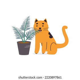 Cute cat eating houseplant. Domestic pet nibbling on green plant.