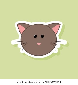 Cute cat Face