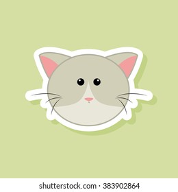 Cute cat Face