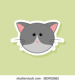 Cute cat Face