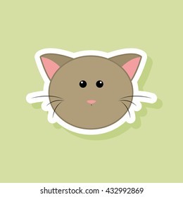 Cute cat Face