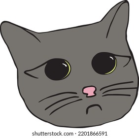 cute cat face with big black eyes