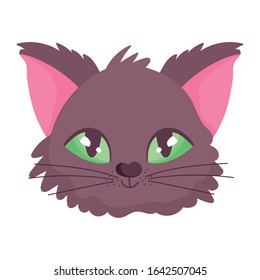 cute cat face cartoon character pets on white background vector illustration
