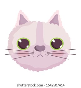 cute cat face cartoon character pets on white background vector illustration