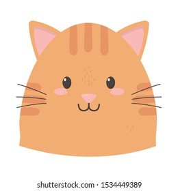 cute cat face cartoon icon vector illustration