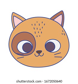 cute cat face.  Feline cartoon animal icon vector illustration