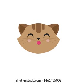 cute cat face, friendly pet head
