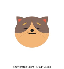 cute cat face , head pet friendly