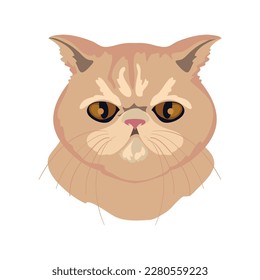 cute cat face over white
