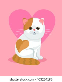 Cute cat with flat nose and heart on back. Vector flat cartoon illustration