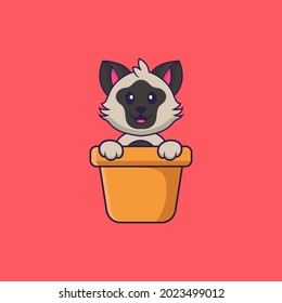 Cute cat in a flower vase. Animal cartoon concept isolated. Can used for t-shirt, greeting card, invitation card or mascot. Flat Cartoon Style