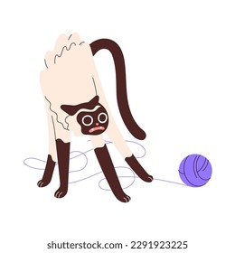 Un gato lindo con una extraña y furiosa emoción asustada, parado en una entretenida pose, posición. Gatito cómico adorable con bola de hilo. Catito humorístico maullando. Ilustración vectorial plana aislada en fondo blanco