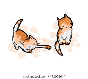 Cute cat in funny cartoon style. Vector illustration isolated on white background.