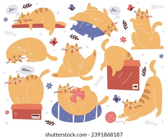 Cute cat and funny kitten colored doodle handdrawn character in different pose action vector illustration. Happy adorable pet animal sleeping, playing with skein, sitting in box, lying on bookshelf