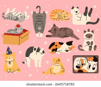 Gato bonito. Gatinhos engraçados adormecem, sentam e se alongam. Animais de estimação rabiscam design. Adesivo animal, padrão de gatinho, impressão acolhedora. Miau personagem, criatura adorável. Ilustração em estilo plano de desenho animado vetorial