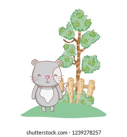 cute cat in the garden