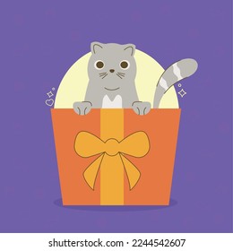cute cat in gift character