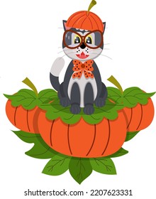 A cute cat in glasses and a hat in the form of a pumpkin sits on pumpkins. Halloween holiday. Vector illustration.