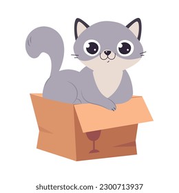 Cute Cat with Grey Coat Sitting in Brown Cardboard Box Vector Illustration