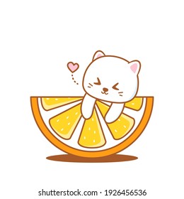 cute cat with half orange fruit