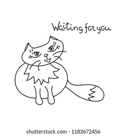 Cute cat. Hand-drawn.  Vector illustration.
