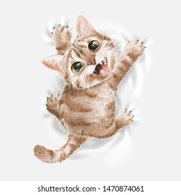 cute cat hanging on white cloth illustration