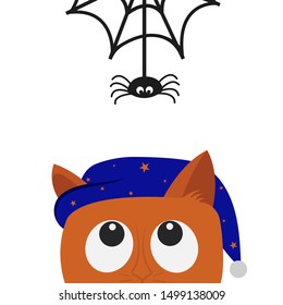 Cute cat in hat looking up to handing web spider insect. Cute cartoon character. Baby pet animal collection. Flat cartoon style vector illustration. White isolated