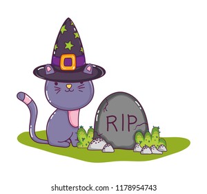 cute cat with hat and rip stone