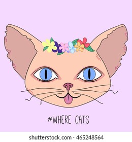 Cute cat head with blue eyes and flowers on pink background. Vector flat illustration.