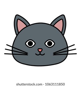 cute cat head pet friendly
