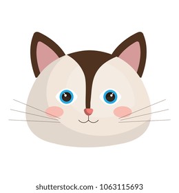 cute cat head pet friendly